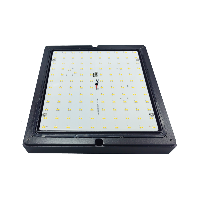 square led bulkhead