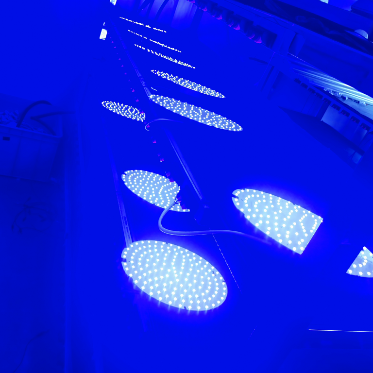 anti drug light